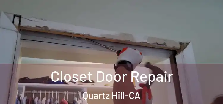 Closet Door Repair Quartz Hill-CA