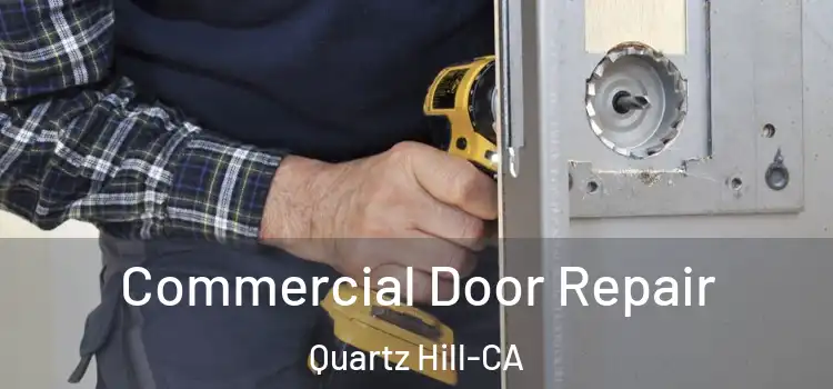 Commercial Door Repair Quartz Hill-CA