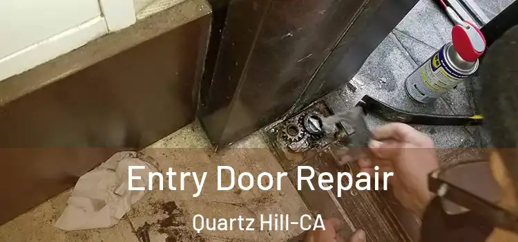  Entry Door Repair Quartz Hill-CA
