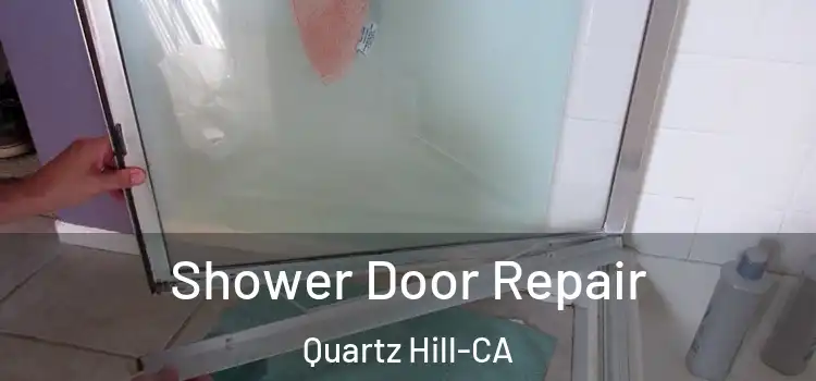 Shower Door Repair Quartz Hill-CA